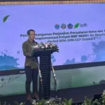 15 Provinsi Terima Dana Rp261 Miliar dari BPDLH untuk Program REDD
