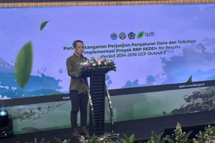 15 Provinsi Terima Dana Rp261 Miliar dari BPDLH untuk Program REDD