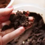 Ampas Kopi, Bahan Alami untuk Lulur yang Bermanfaat bagi Kesehatan Kulit