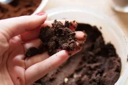 Ampas Kopi, Bahan Alami untuk Lulur yang Bermanfaat bagi Kesehatan Kulit