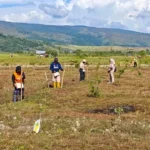 Badan Bank Tanah Sulap 4 Ha Lahan di Poso Jadi Produktif Bersama Warga Lokal