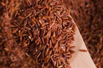 Beras Merah dan Hitam Bisa Diolah Jadi Mi hingga Biskuit yang Aman bagi Pasien Diabetes