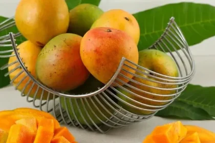 Tak Hanya Manis dan Segar, Mangga Miliki Banyak Manfaat untuk Kesehatan Mata hingga Jantung